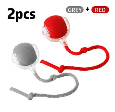 {{ Smart Interactive Pet Ball }} - {{ canivolabs }}