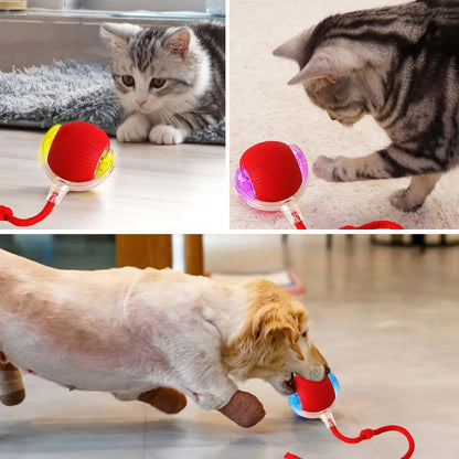 {{ Smart Interactive Pet Ball }} - {{ canivolabs }}