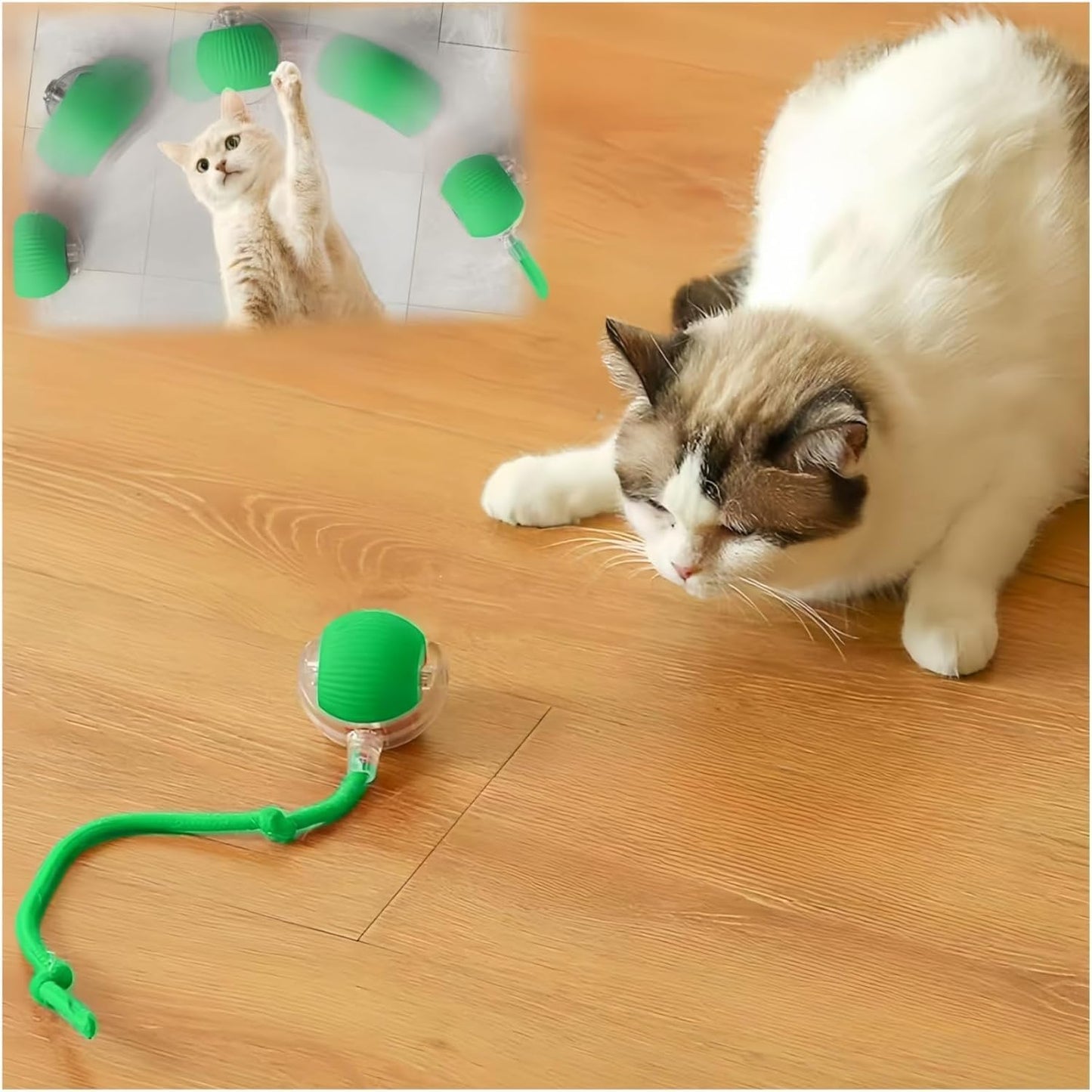{{ Smart Interactive Pet Ball }} - {{ canivolabs }}