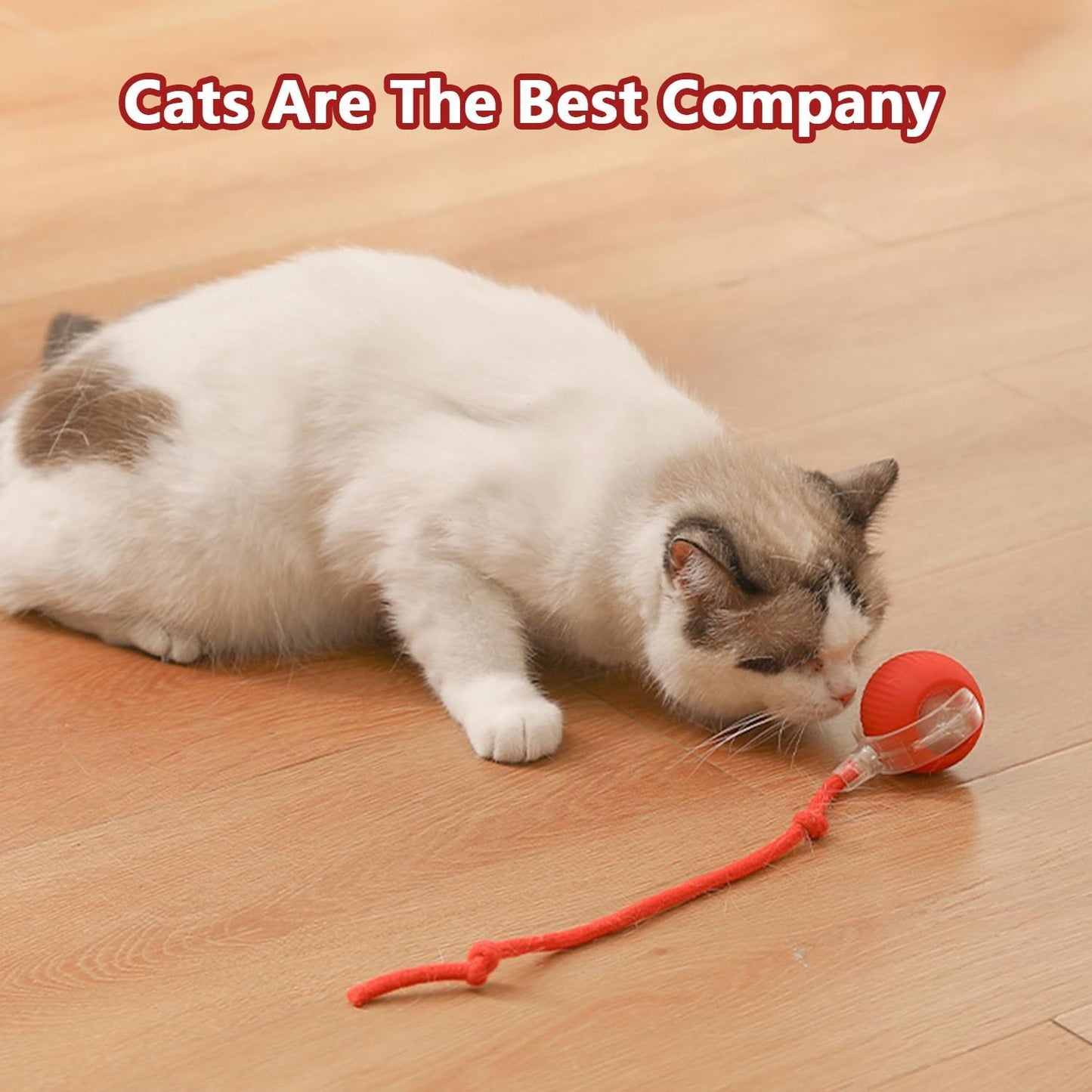 {{ Smart Interactive Pet Ball }} - {{ canivolabs }}