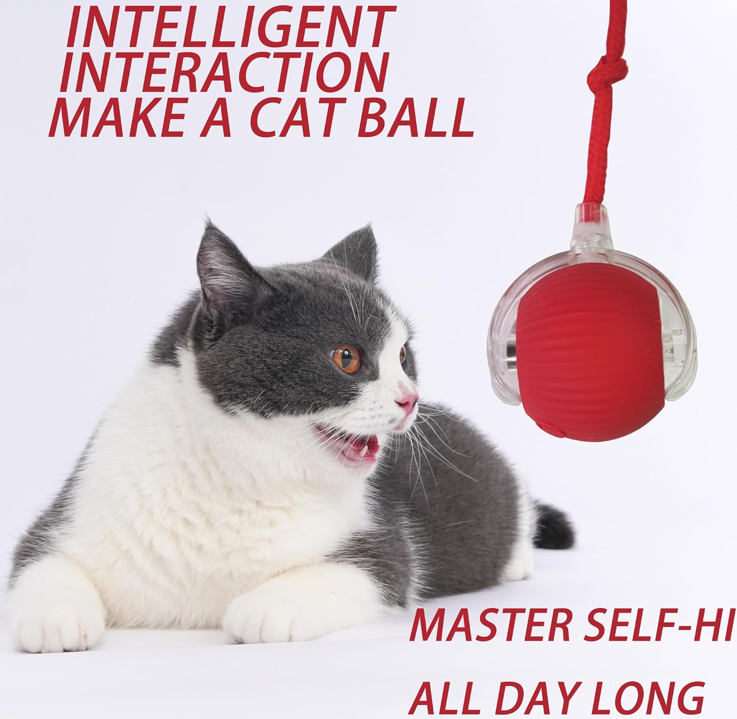 {{ Smart Interactive Pet Ball }} - {{ canivolabs }}