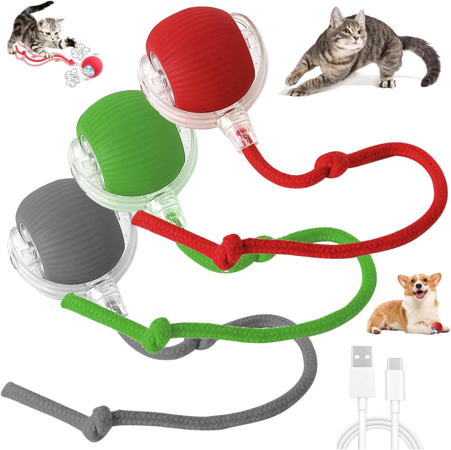 {{ Smart Interactive Pet Ball }} - {{ canivolabs }}