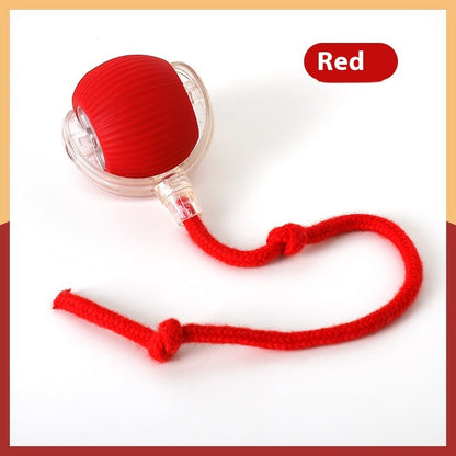 {{ Smart Interactive Pet Ball }} - {{ canivolabs }}