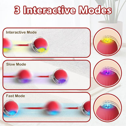 {{ Smart Interactive Pet Ball }} - {{ canivolabs }}