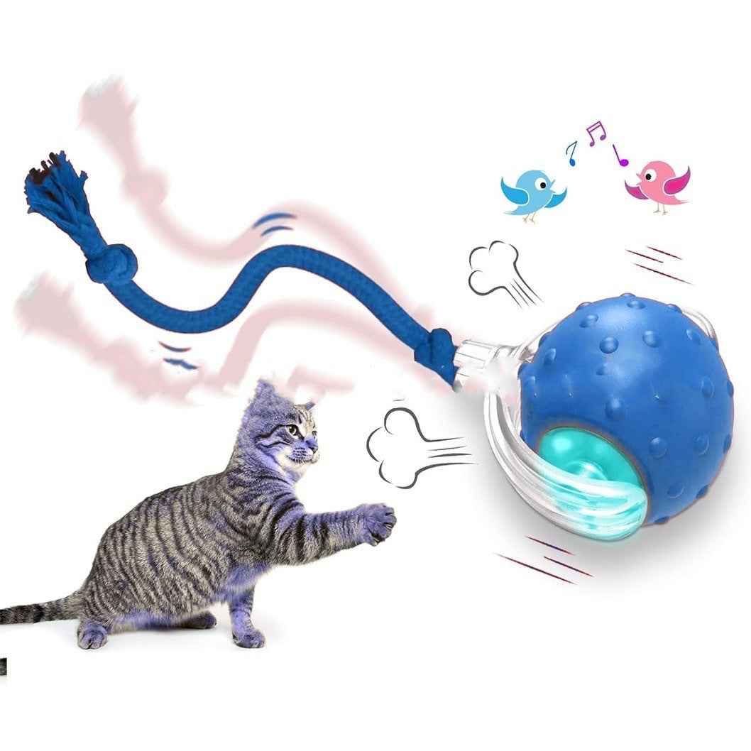 {{ Smart Interactive Pet Ball }} - {{ canivolabs }}