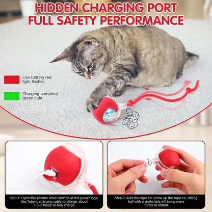 {{ Smart Interactive Pet Ball }} - {{ canivolabs }}