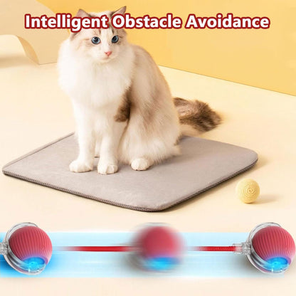 {{ Smart Interactive Pet Ball }} - {{ canivolabs }}