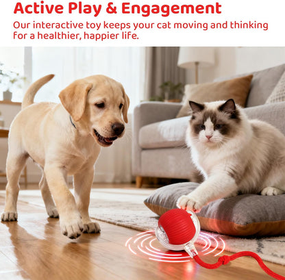 {{ Smart Interactive Pet Ball }} - {{ canivolabs }}