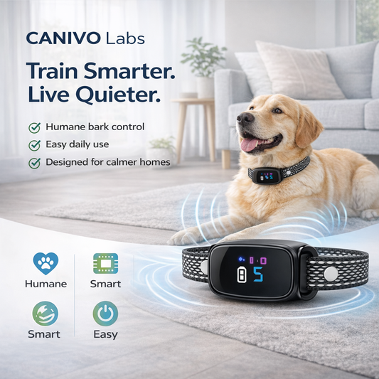 {{ Smart Interactive Pet Ball }} - {{ canivolabs }}