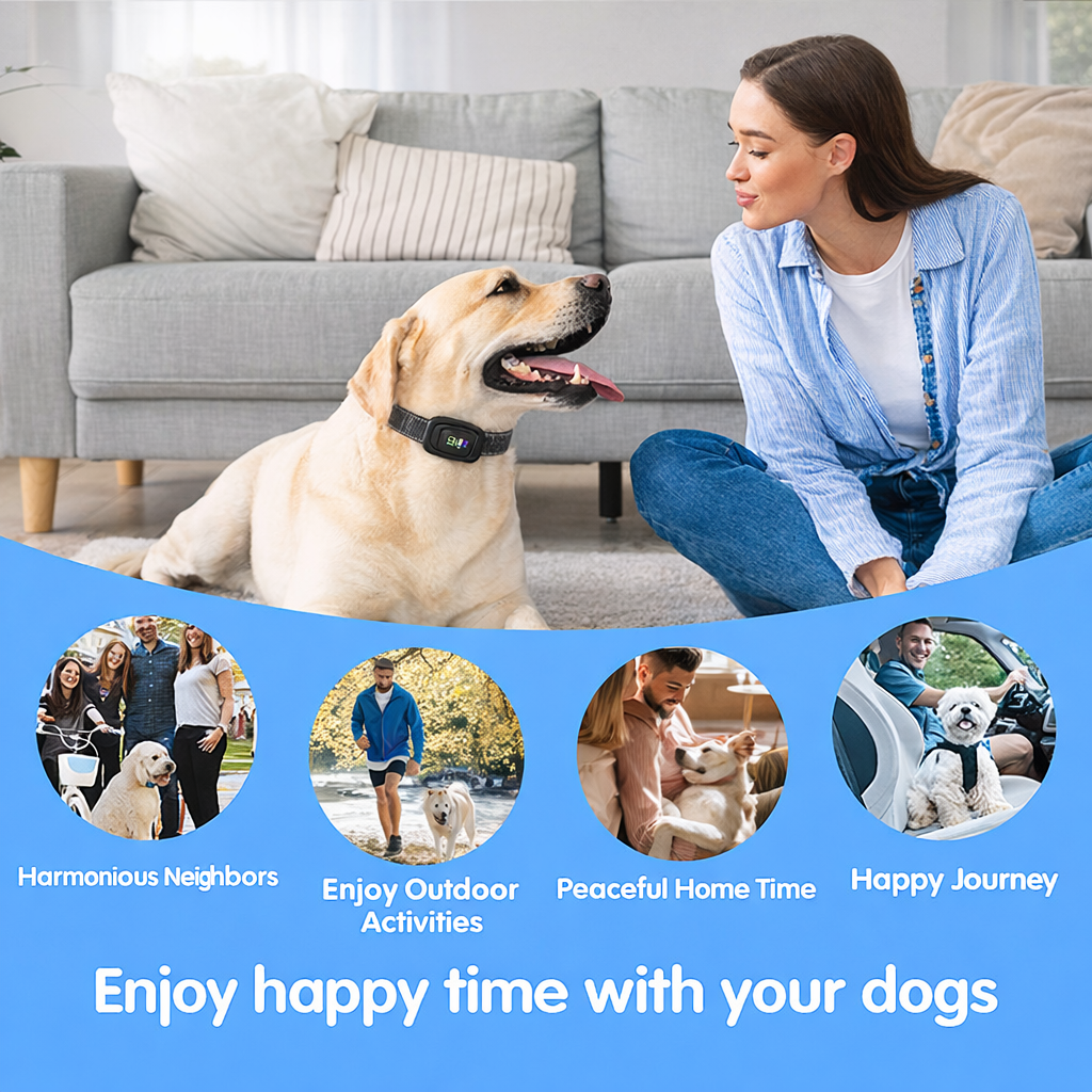 {{ Smart Interactive Pet Ball }} - {{ canivolabs }}