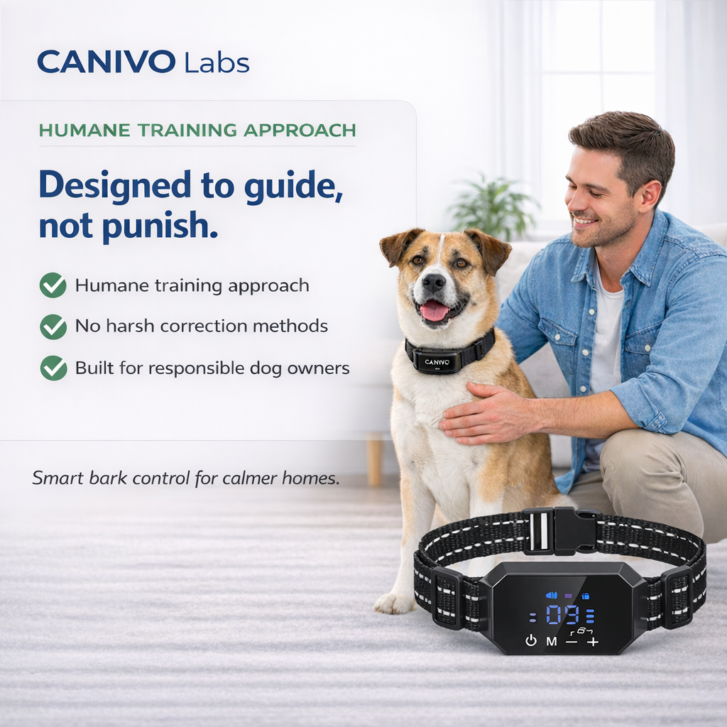 {{ Smart Interactive Pet Ball }} - {{ canivolabs }}