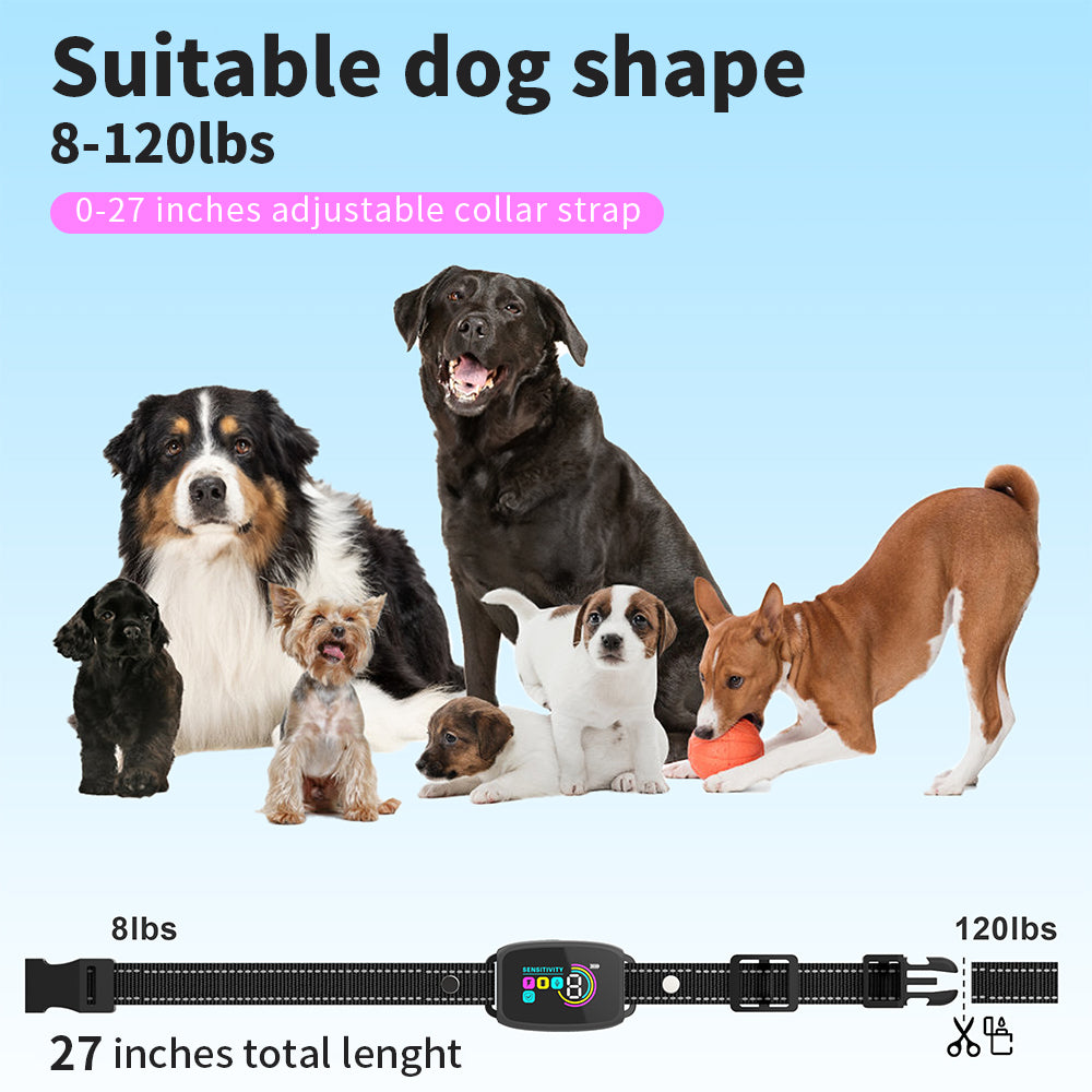 {{ Smart Interactive Pet Ball }} - {{ canivolabs }}
