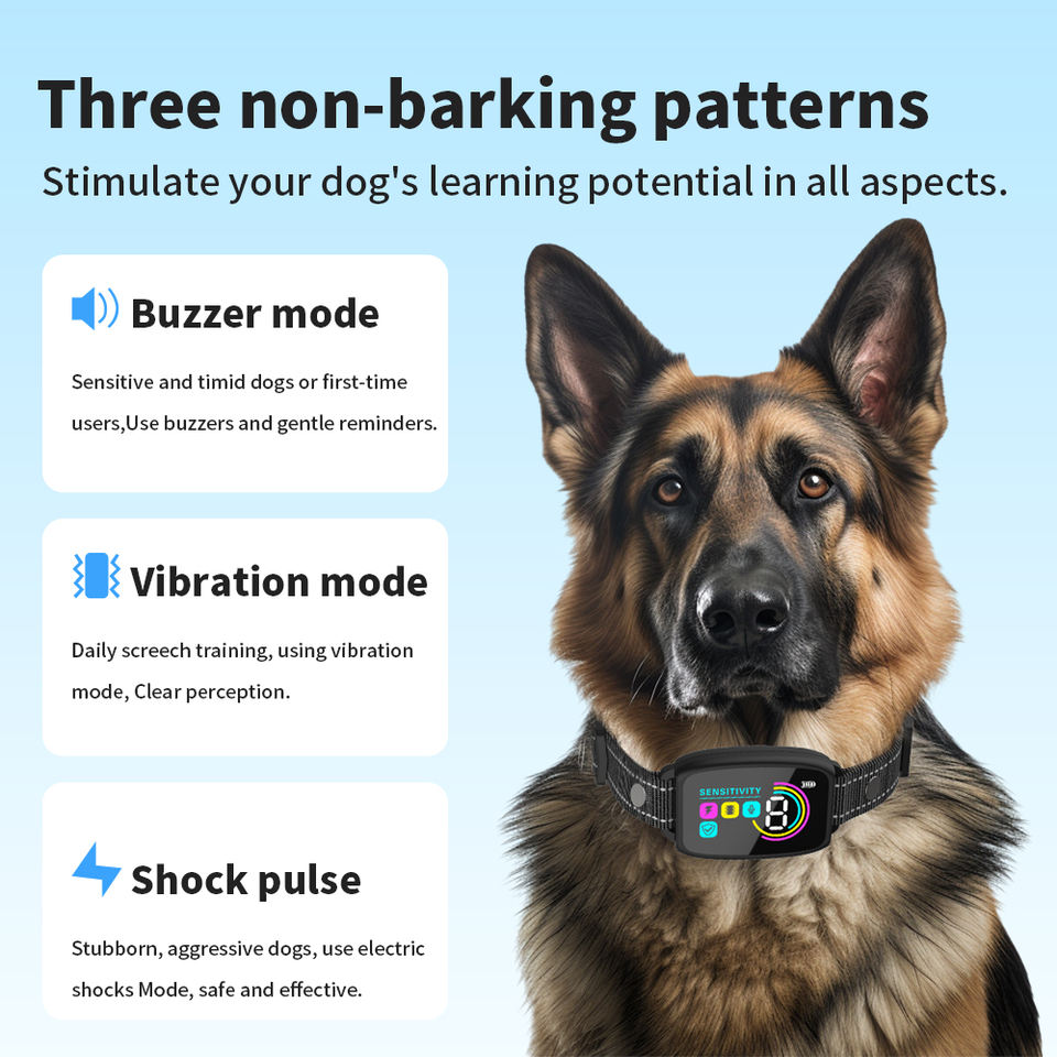 {{ Smart Interactive Pet Ball }} - {{ canivolabs }}