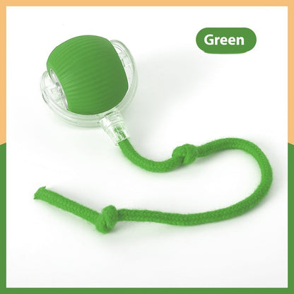{{ Smart Interactive Pet Ball }} - {{ canivolabs }}