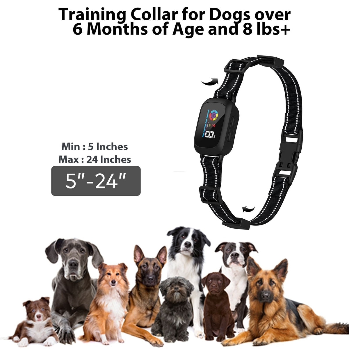 {{ Smart Interactive Pet Ball }} - {{ canivolabs }}