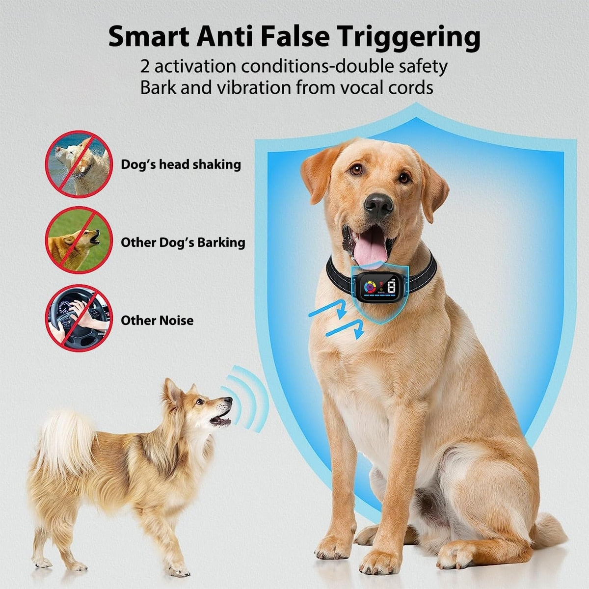 {{ Smart Interactive Pet Ball }} - {{ canivolabs }}